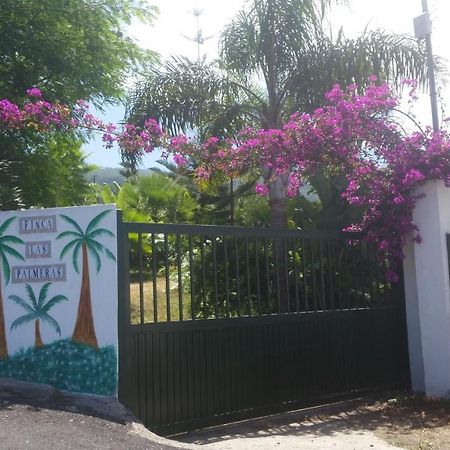 Finca Las Palmeras Icod De Los Vinos Esterno foto