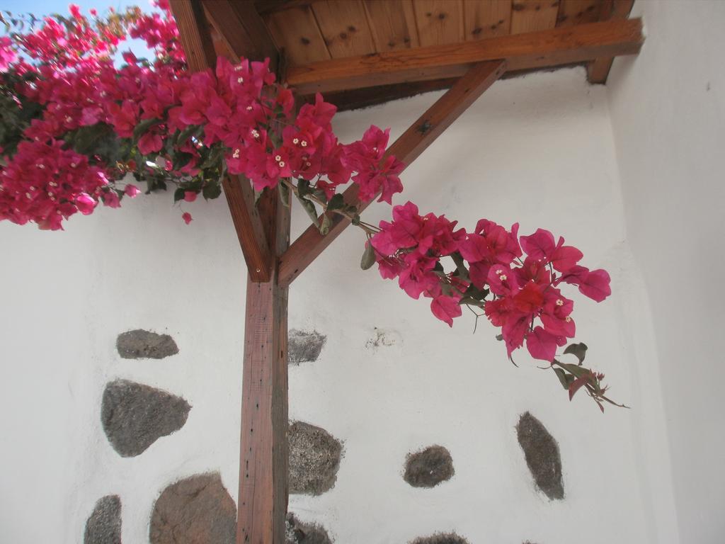Finca Las Palmeras Icod De Los Vinos Esterno foto