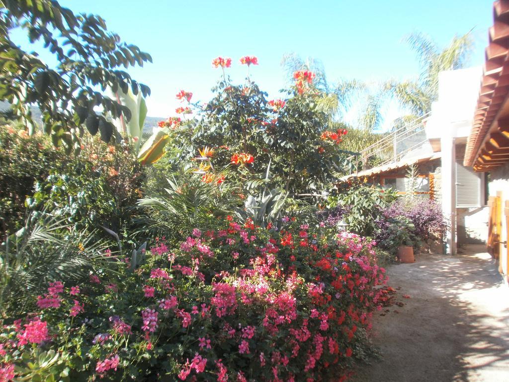 Finca Las Palmeras Icod De Los Vinos Camera foto