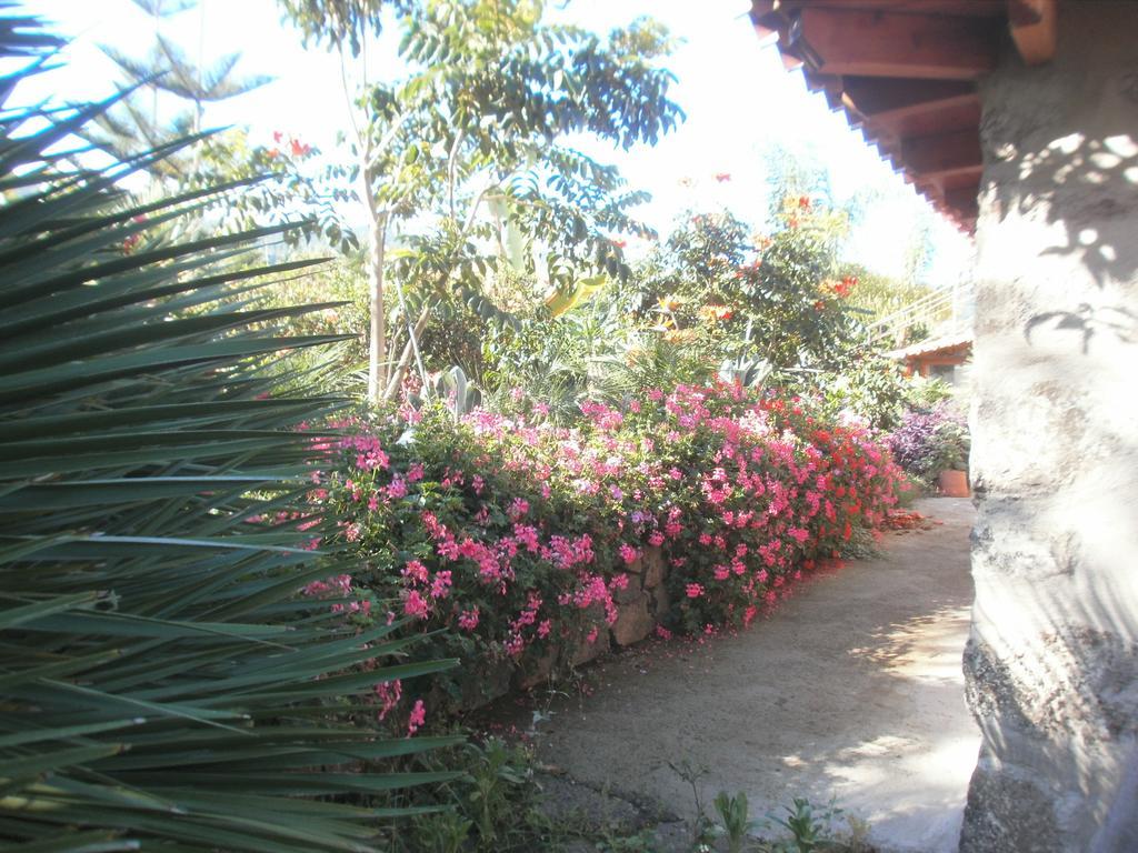 Finca Las Palmeras Icod De Los Vinos Esterno foto