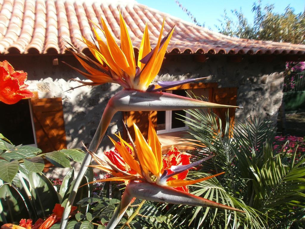 Finca Las Palmeras Icod De Los Vinos Esterno foto