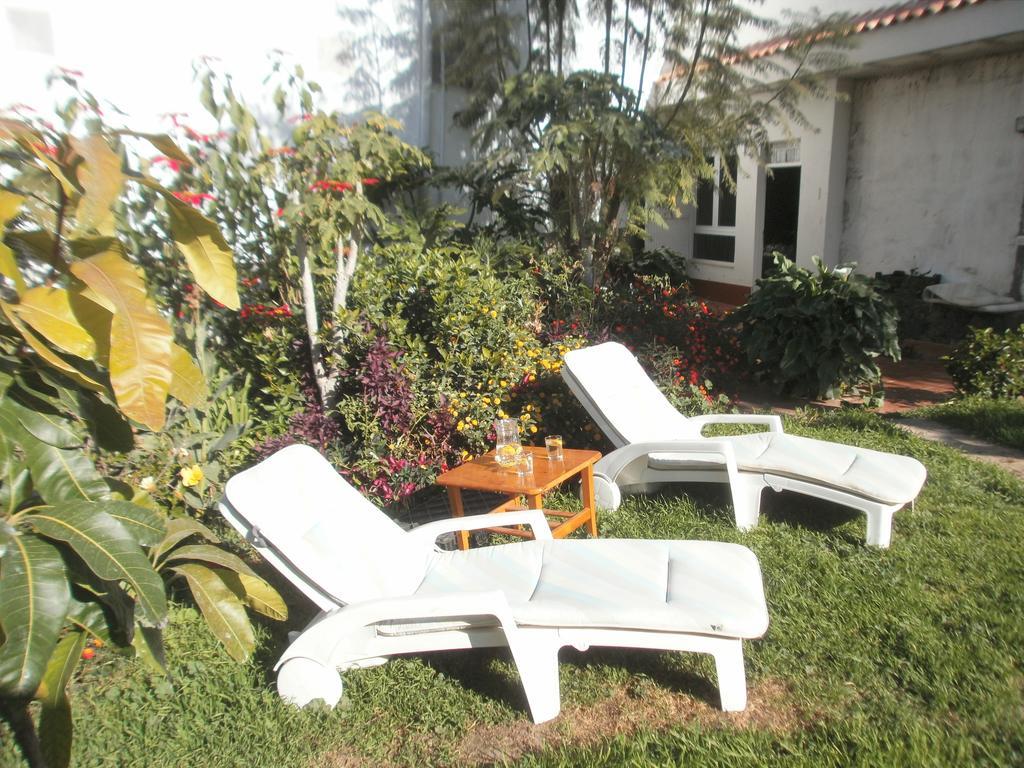 Finca Las Palmeras Icod De Los Vinos Esterno foto
