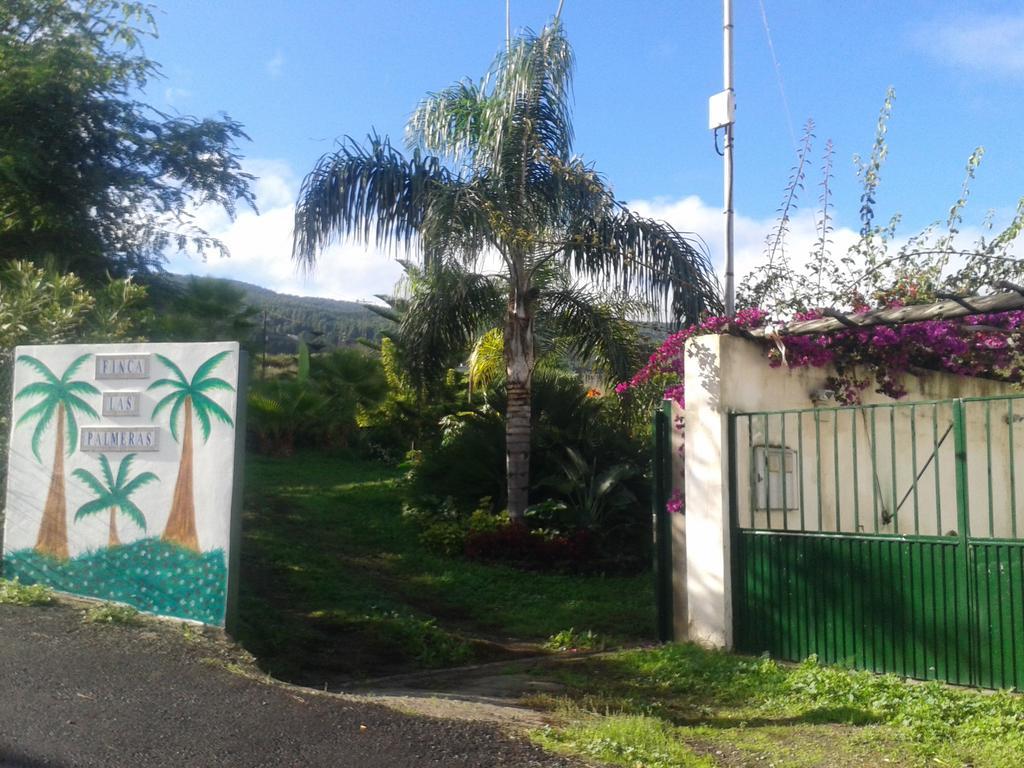 Finca Las Palmeras Icod De Los Vinos Esterno foto